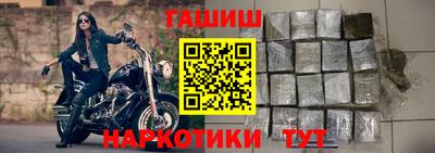сатива Коммунар